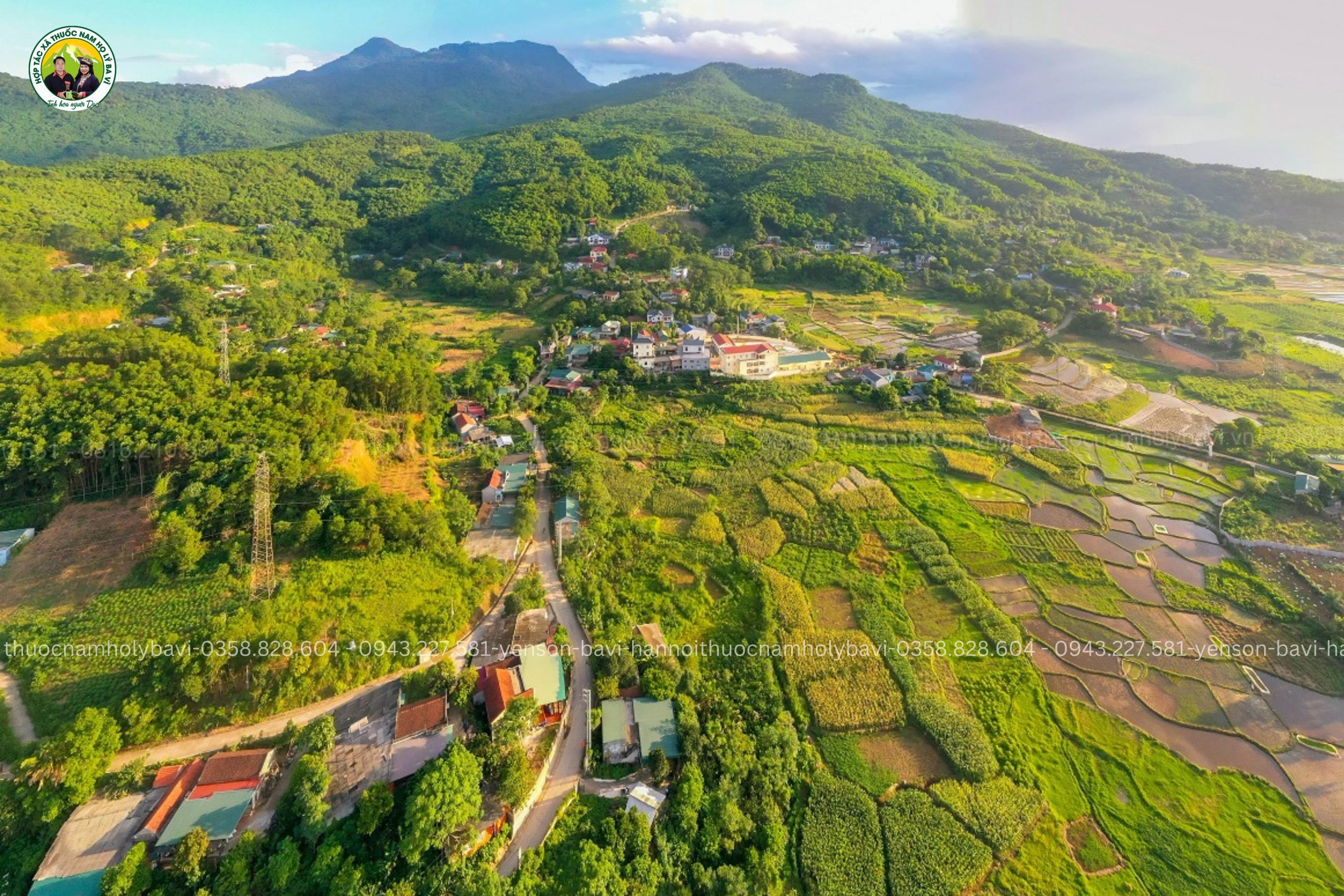 thảo dược