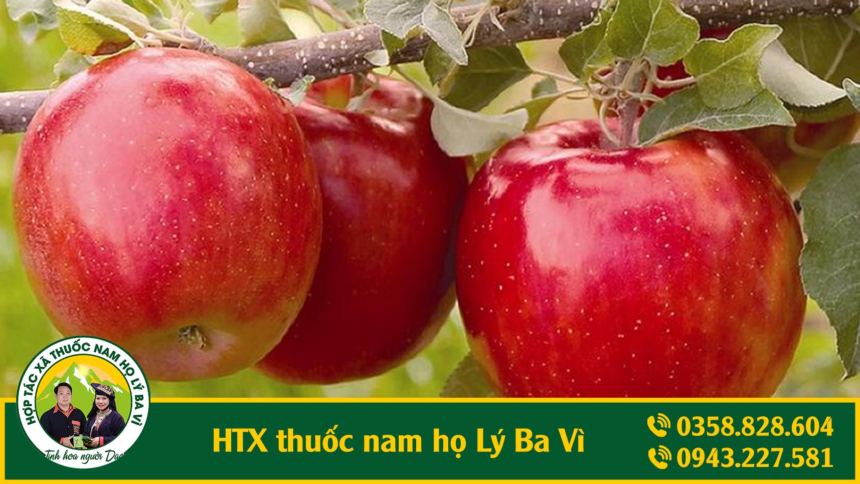 tiểu đường
