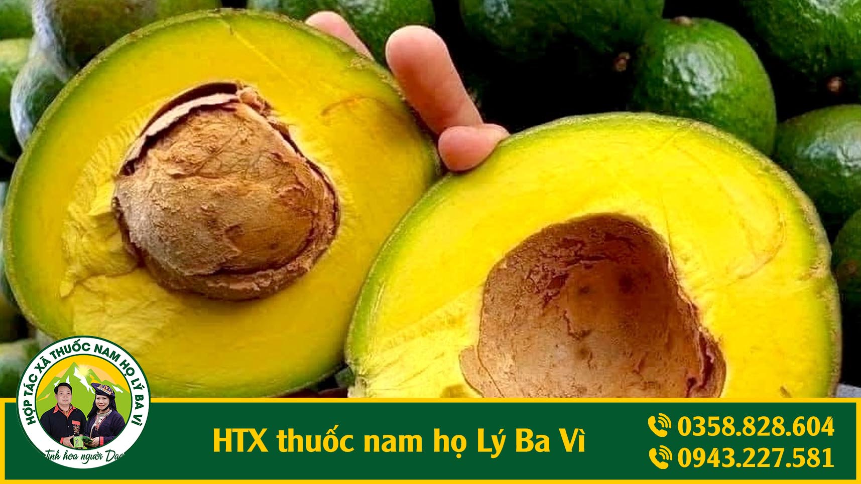 mỡ